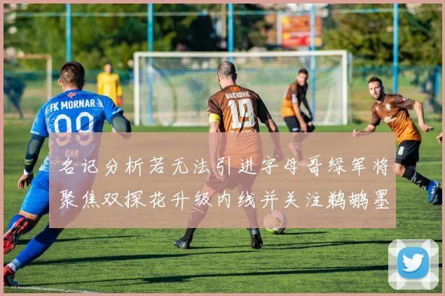 名记分析若无法引进字母哥绿军将聚焦双探花升级内线并关注鹈鹕墨菲